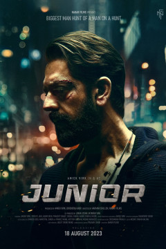 Junior poster - indiq.net