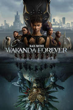 Black Panther: Wakanda Forever (2022) poster - indiq.net