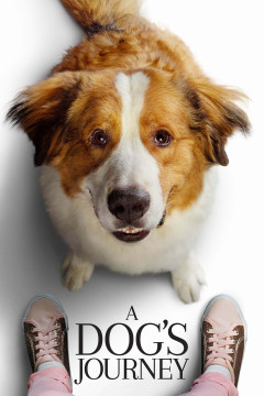 A Dog's Journey poster - indiq.net