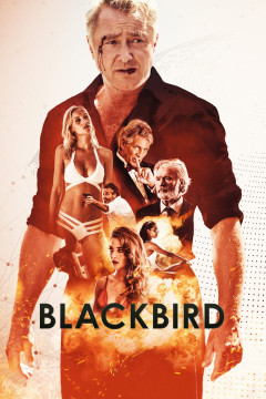 Blackbird poster - indiq.net