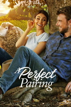 A Perfect Pairing poster - indiq.net