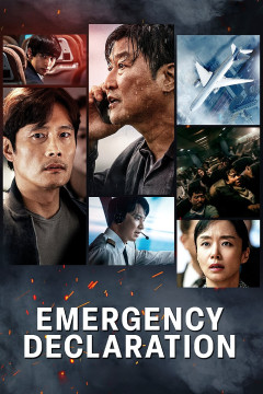 Emergency Declaration poster - indiq.net