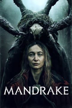 Mandrake poster - indiq.net