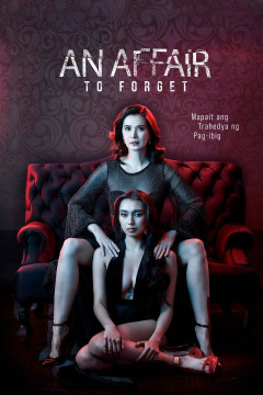 An Affair to Forget poster - indiq.net