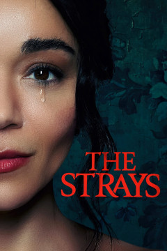 The Strays poster - indiq.net