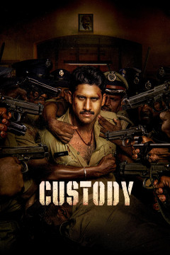 Custody poster - indiq.net