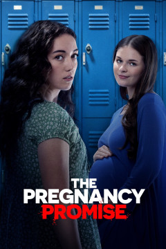The Pregnancy Promise [xfgiven_clear_yearyear]() [/xfgiven_clear_year]poster - indiq.net