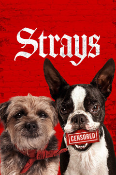 Strays poster - indiq.net