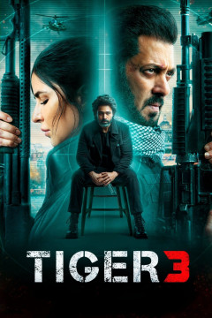 Tiger 3 poster - indiq.net