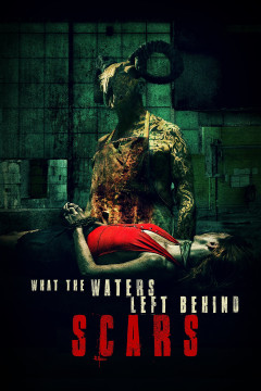 What the Waters Left Behind: Scars poster - indiq.net