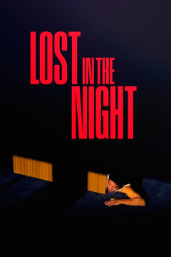 Lost in the Night poster - indiq.net