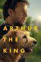 Arthur the King poster - indiq.net