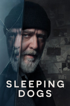 Sleeping Dogs poster - indiq.net